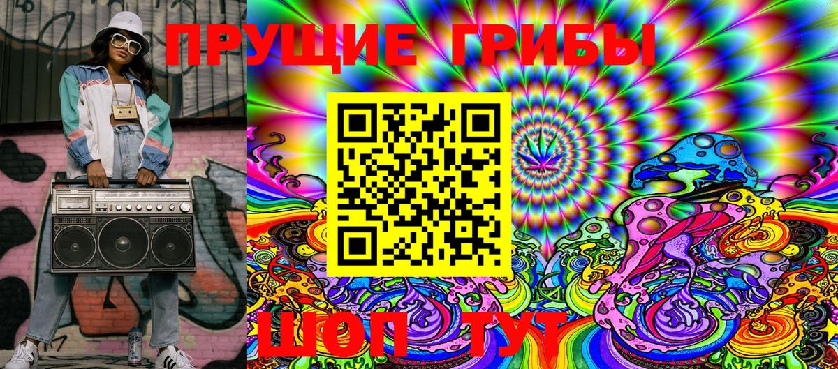 Крымск  Псилоцибиновые грибы Cubensis  Вход с VPN 